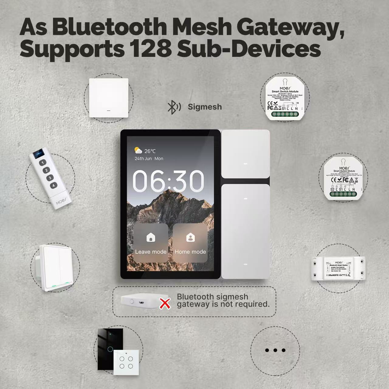 Product Details