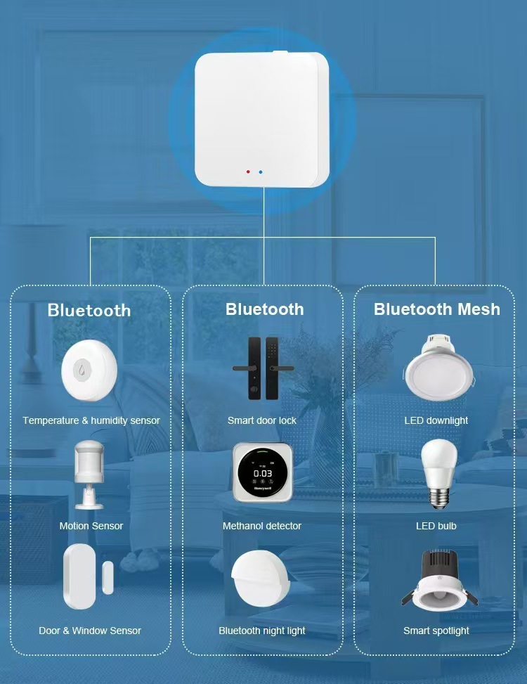 Product Details